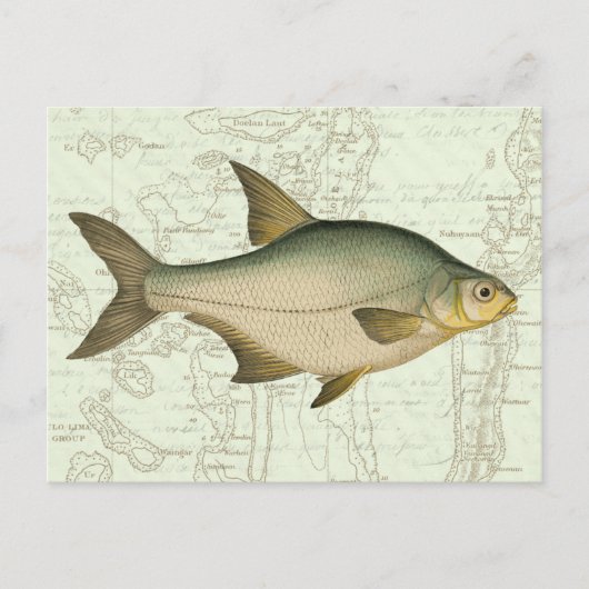 Poisson d'eau douce sur la carte (Devant)