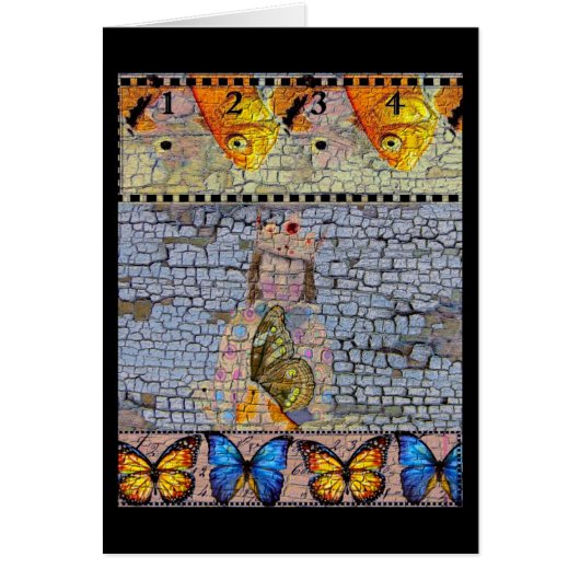 Poisson Garçon Médias mixtes Toutes les occasions (Devant)