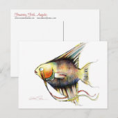 Poisson Imaginaire : Cartes postales Angelo (Devant / Derrière)