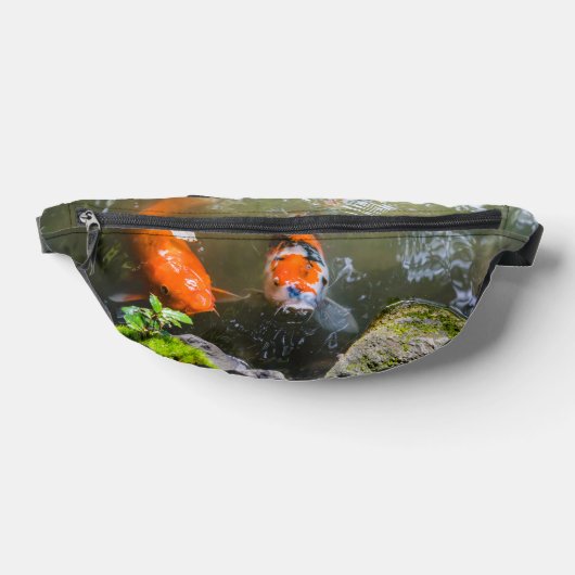 Poisson Koi dans un étang (Poser)