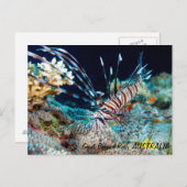 Poisson-lion sur la carte postale de la Grande Bar (Devant / Derrière)