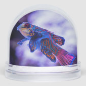 Poisson Mandarin Goby (Avant)