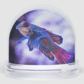 Poisson Mandarin Goby (Arrière)