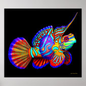 Poisson mandarin sur affiche noire (Devant)