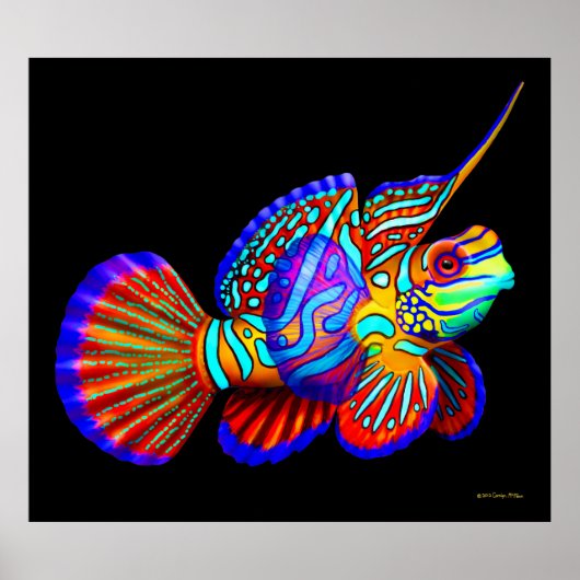 Poisson mandarin sur affiche noire (Devant)