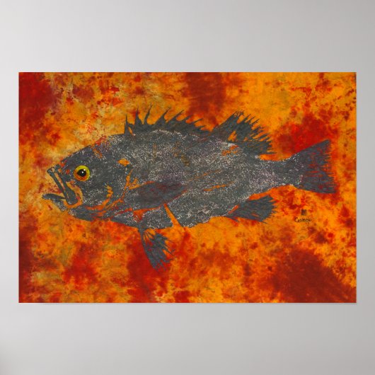 Poisson-roche molle - Poster 19" x 13" (Devant)