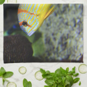 Poisson Serviettes de cuisine (Plié)