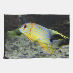 Poisson Serviettes de cuisine