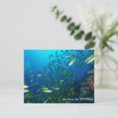 Poisson tropical de la mer de Corail Carte postale (Debout devant)