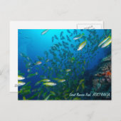 Poisson tropical de la mer de Corail Carte postale (Devant / Derrière)