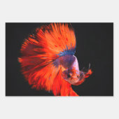 Poisson tropical Papier à enveloppement à trois fe (Devant)