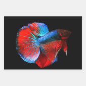 Poisson tropical Papier à enveloppement à trois fe (Devant 3)