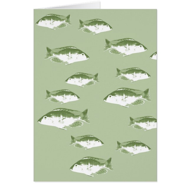 Poisson vert olive (Devant)