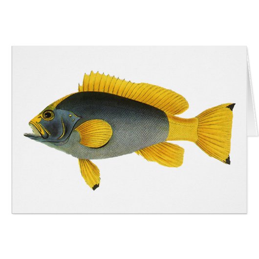 Poisson vintage bleu et jaune, Vie marine (Devant horizontal)