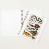 Poisson vintage Océan, plage, bleu, eau (Devant avec enveloppe)