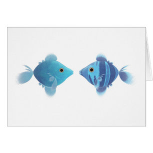 poissons bleus