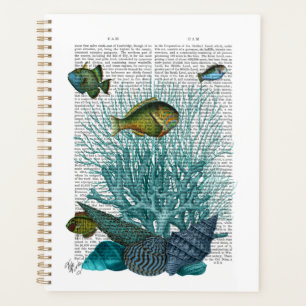 Poissons, coquillages bleus et coraux