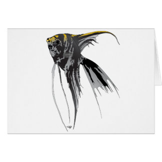 Poissons d'ange