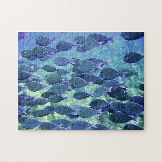 Poissons de bleu de puzzle (Horizontal)