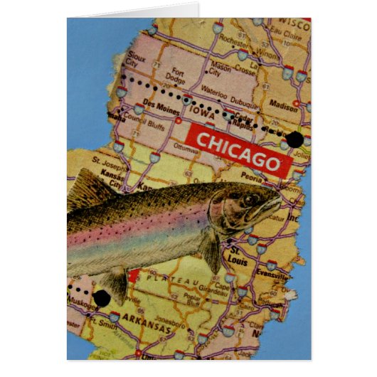 Poissons de Chicago (Devant)