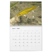 Poissons d'eau douce de calendrier du Mexique 2011 (Mar 2027)