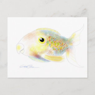 Poissons d'imaginaire : Cartes postales de Polly