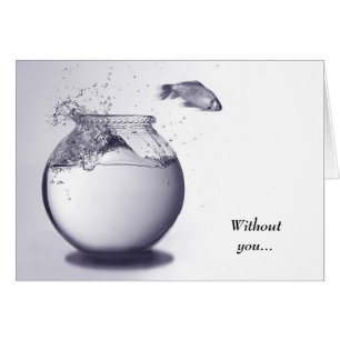 Poissons hors de l'eau