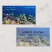 Poissons tropicaux du carte de visite de mer de (Devant / Derrière)