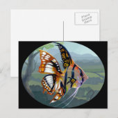 "Poissons Volants : Étude I" Carte postale (Devant / Derrière)