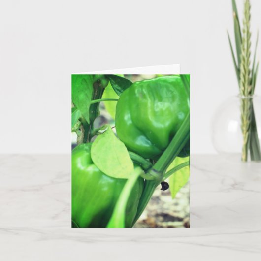 Poivrons verts Jardin Nature Note Carte (Devant)