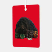 Poker Dog Metal Ornament (Voorkant links)