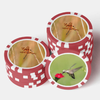 Pokerchips met libel en kolibrie afbeelding