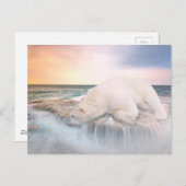 Polair Beer Briefkaart (Voorkant / Achterkant)