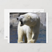 Polair Beer Briefkaart (Voorkant / Achterkant)