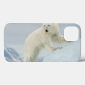 Polair beer in de zomer Case-Mate iPhone case (Achterkant (horizontaal))