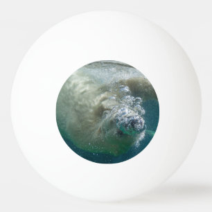 Polair beer onder water pingpongballen