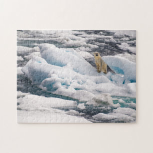 Polair Beer op Blue Iceberg in Arctic Svalbard Legpuzzel