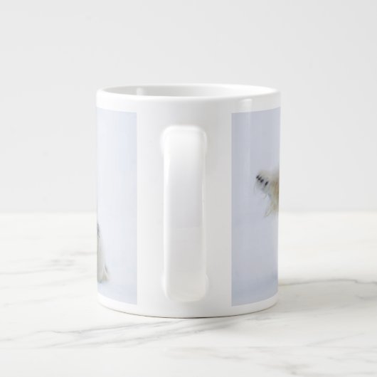 Polair beer rolt in sneeuw, Noorwegen Jumbo Mok (Achterkant)