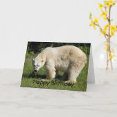 polair beer scowling Verjaardag Kaart (Gele Bloem)