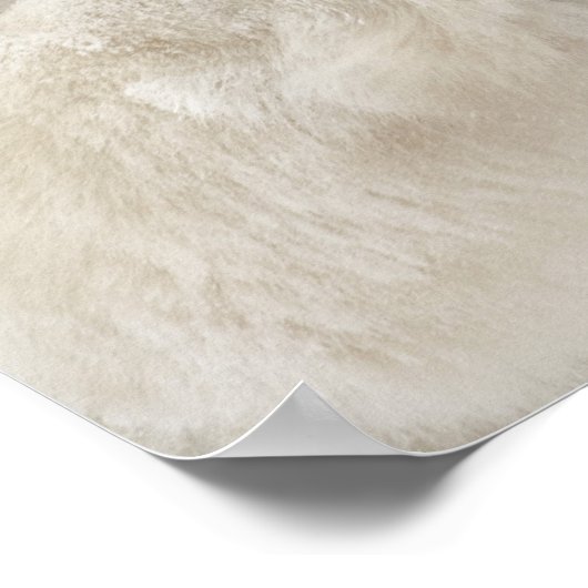 Polair beer strijdt met een ander beer poster (Hoek)