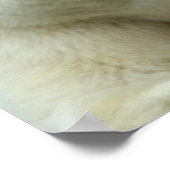 Polaire Beer afdrukken Poster (Hoek)