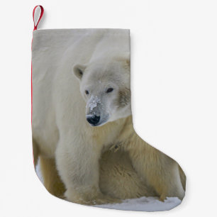 POLAIRE BEER MOEDER EN NORTHERN ALASKA KLEINE KERSTSOK