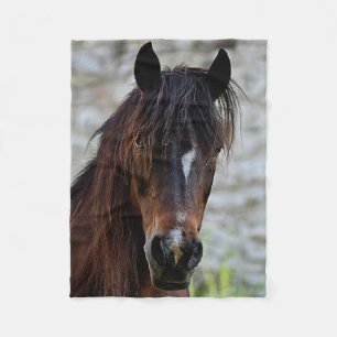 Polaire Belle couverture Brown d'ouatine de cheval