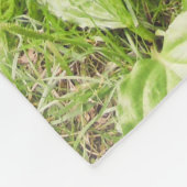 Polaire Belle couverture d'ouatine de canard de coureur (Coin)