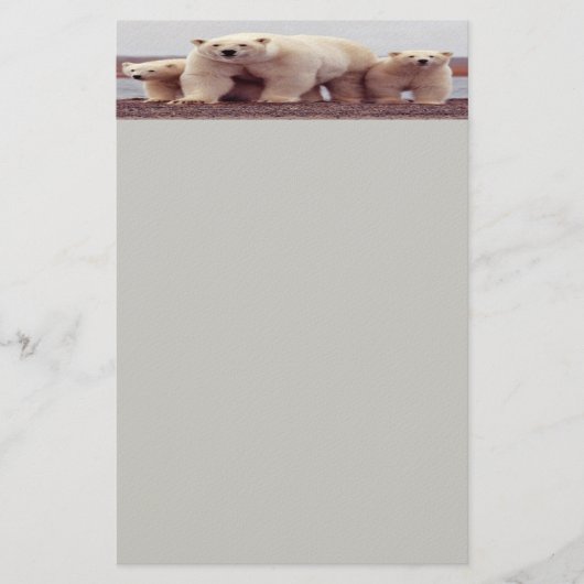 Polaire beren briefpapier (Voorkant)