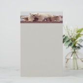 Polaire beren briefpapier (Staand voorkant)