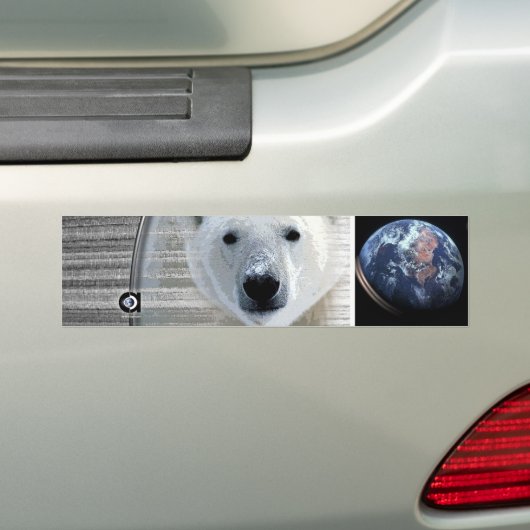 polaire beren bumpersticker (Op auto)
