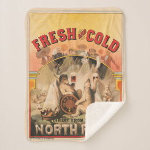 Polaire Beren genieten van Mokken van lagerbier Sherpa Deken