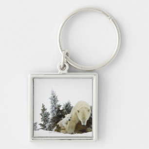 Polaire Beren in het nationaal park Wapusk Sleutelhanger