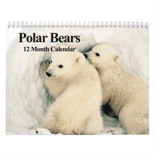 Polaire Beren - kalender van 12 maanden (Hoes)